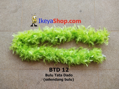 BTD 12  large2